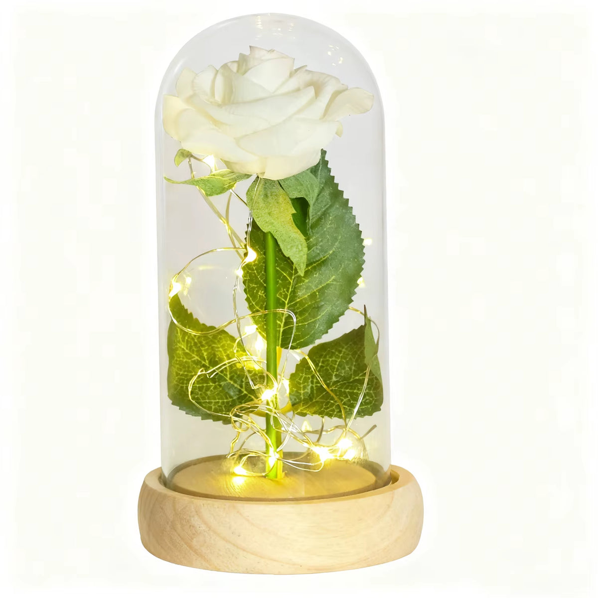 Gifts for Women Beauty and the Beast Preserved Roses in Glass Galaxy Rose LED Light Artificial Flower Birthday Gift for Girls
